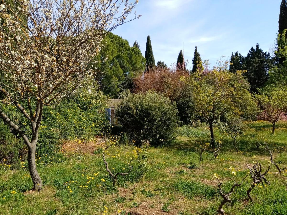 Готель Au Mas Saint Pierre Pignans Екстер'єр фото
